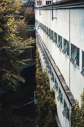 A row of open windows lines a long, white wall of a building, with lush green foliage growing up the side and surrounding the area. A staircase and more greenery are visible in the background.