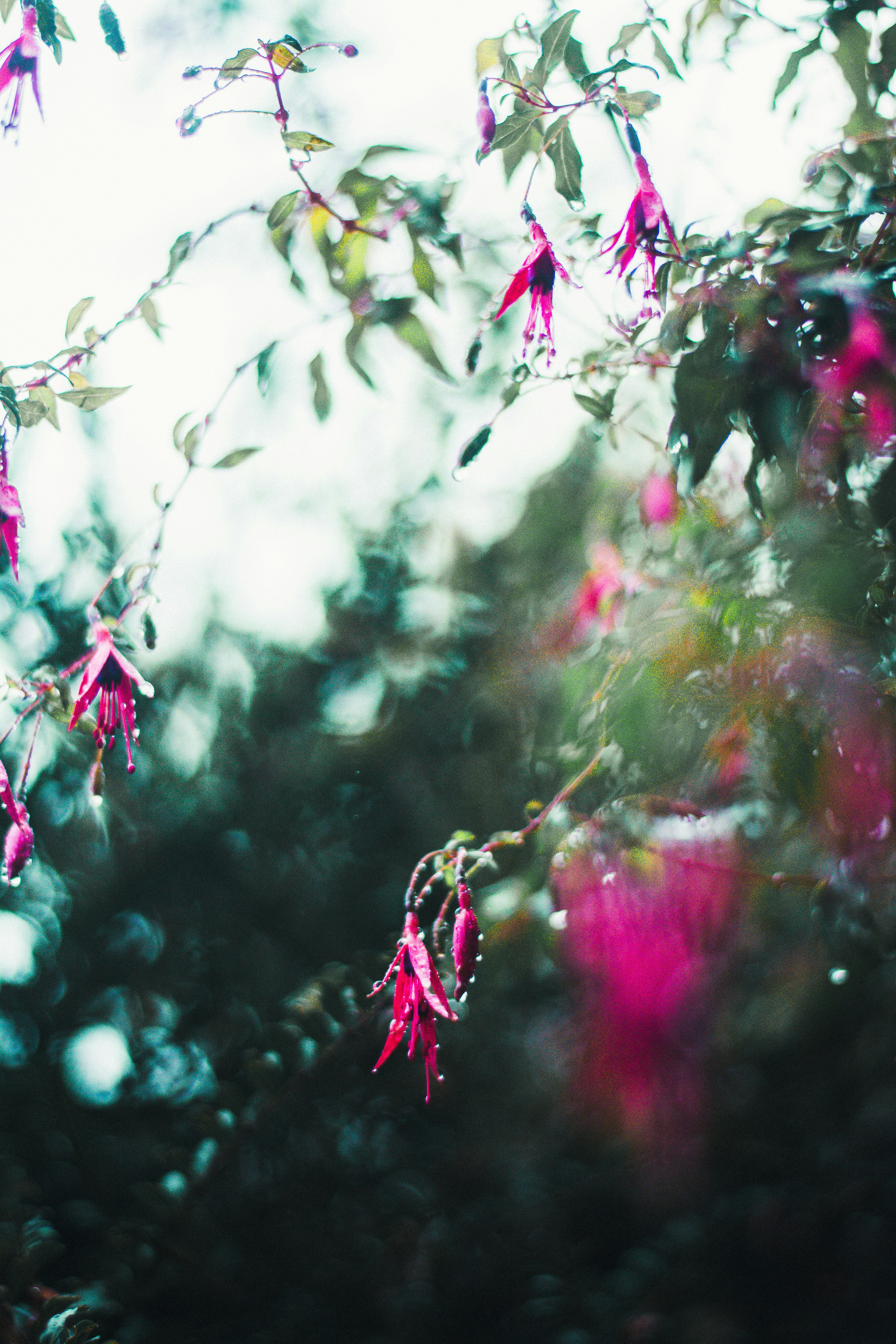 Photo by miguel_ind0