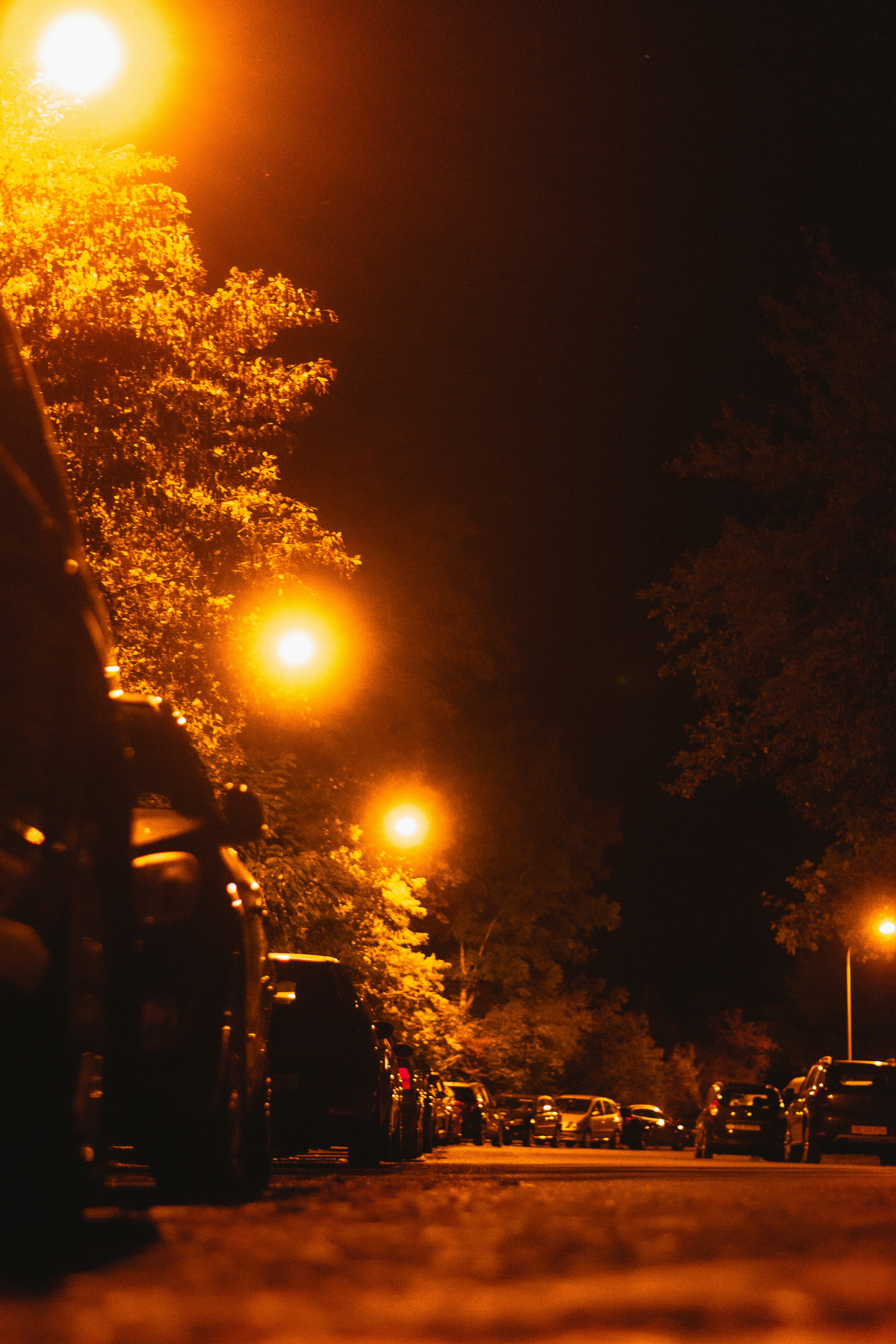 Photo by miguel_ind0