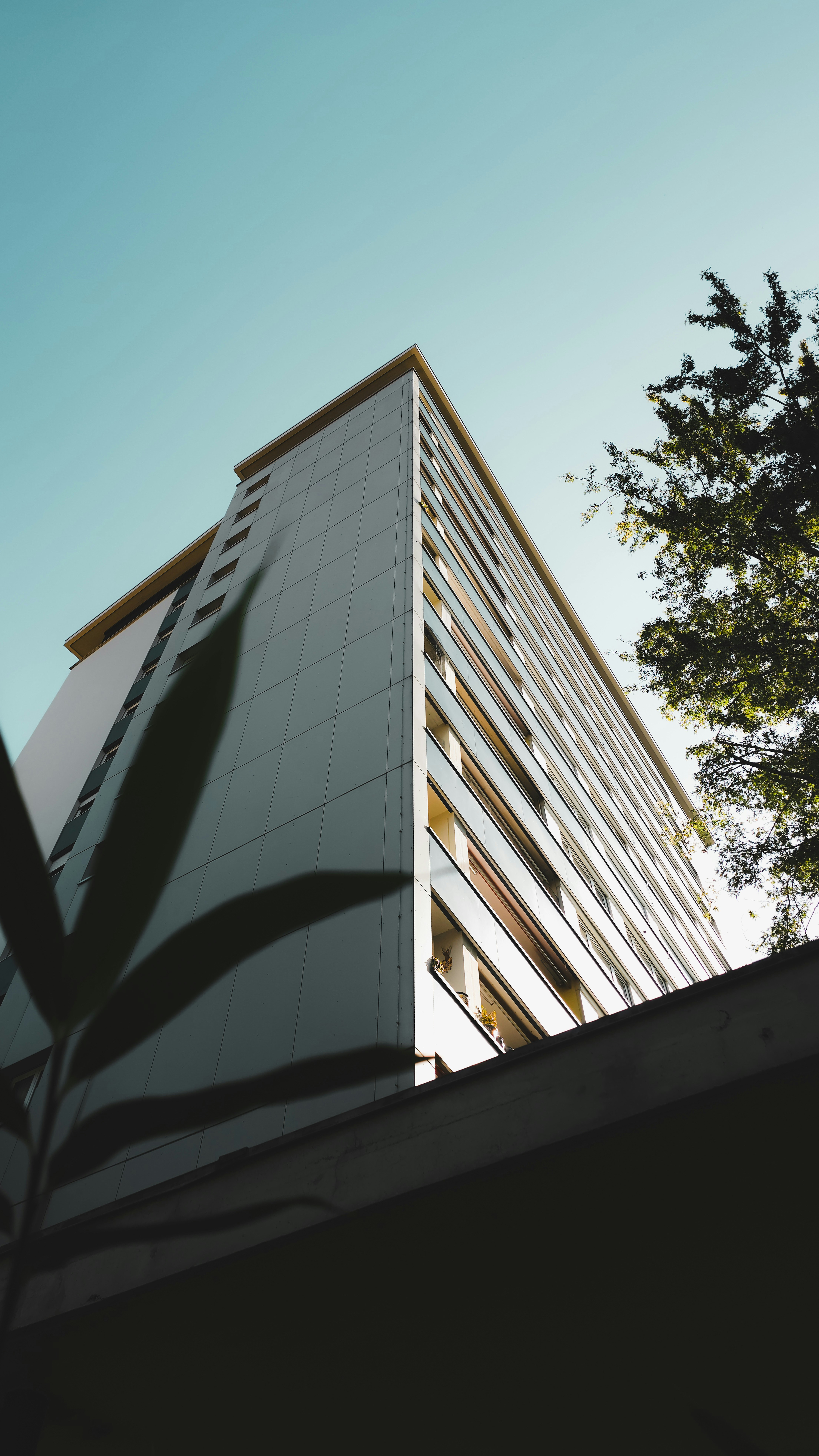 Photo by miguel_ind0