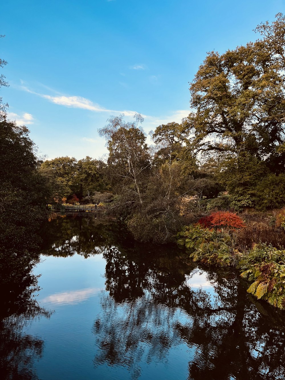 a body of water surrounded by trees and bushes