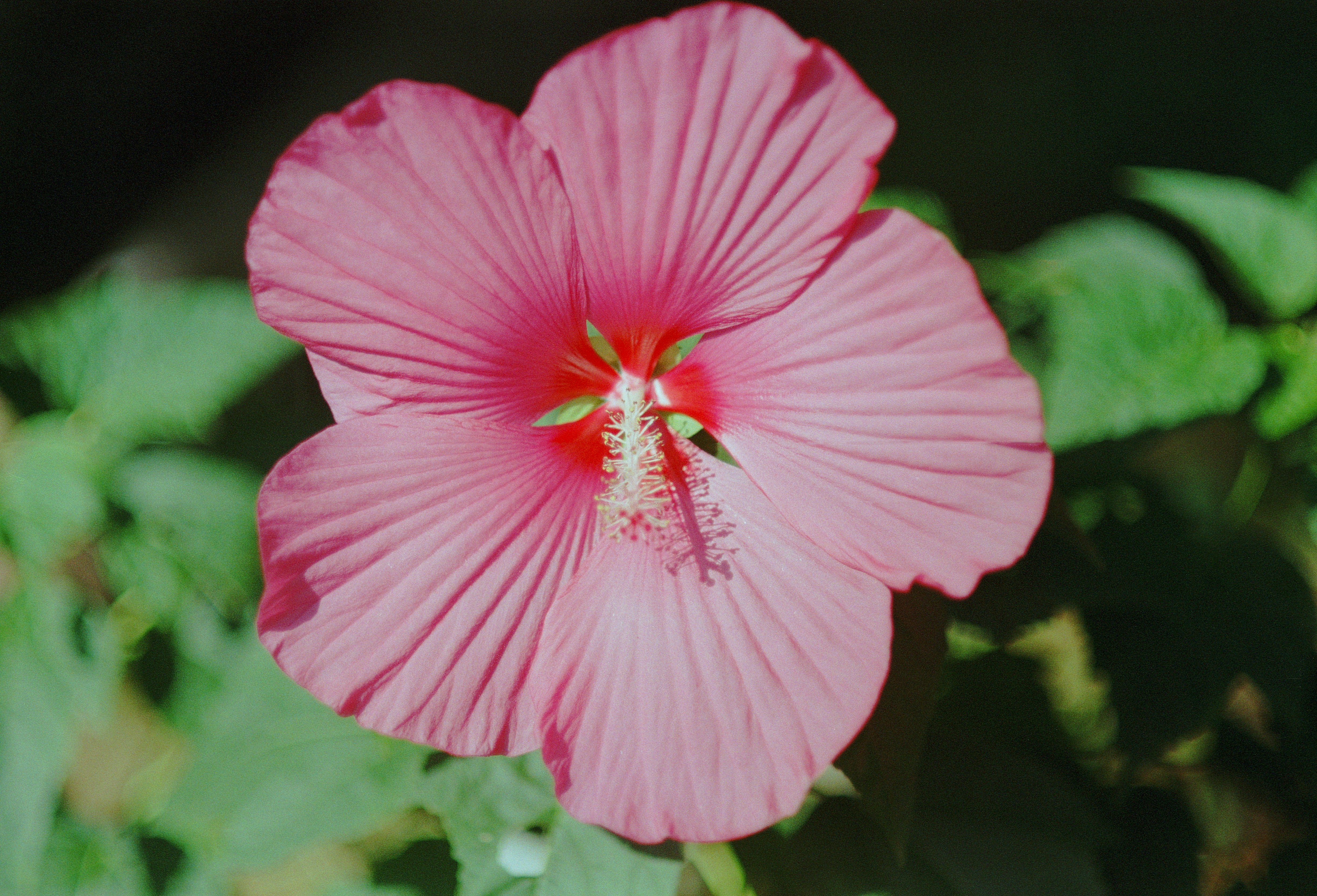 Photo by artistseyes