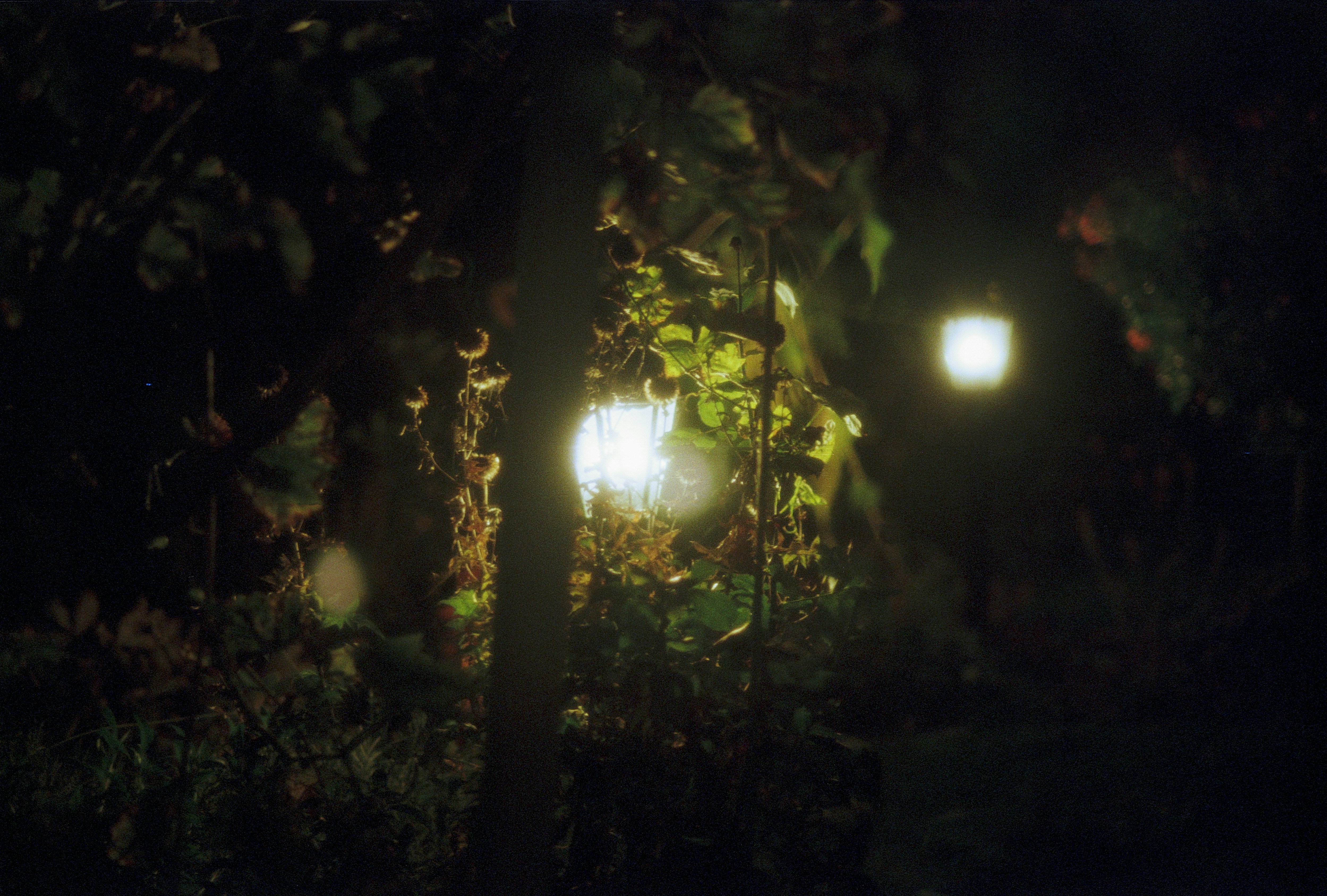 Photo by artistseyes