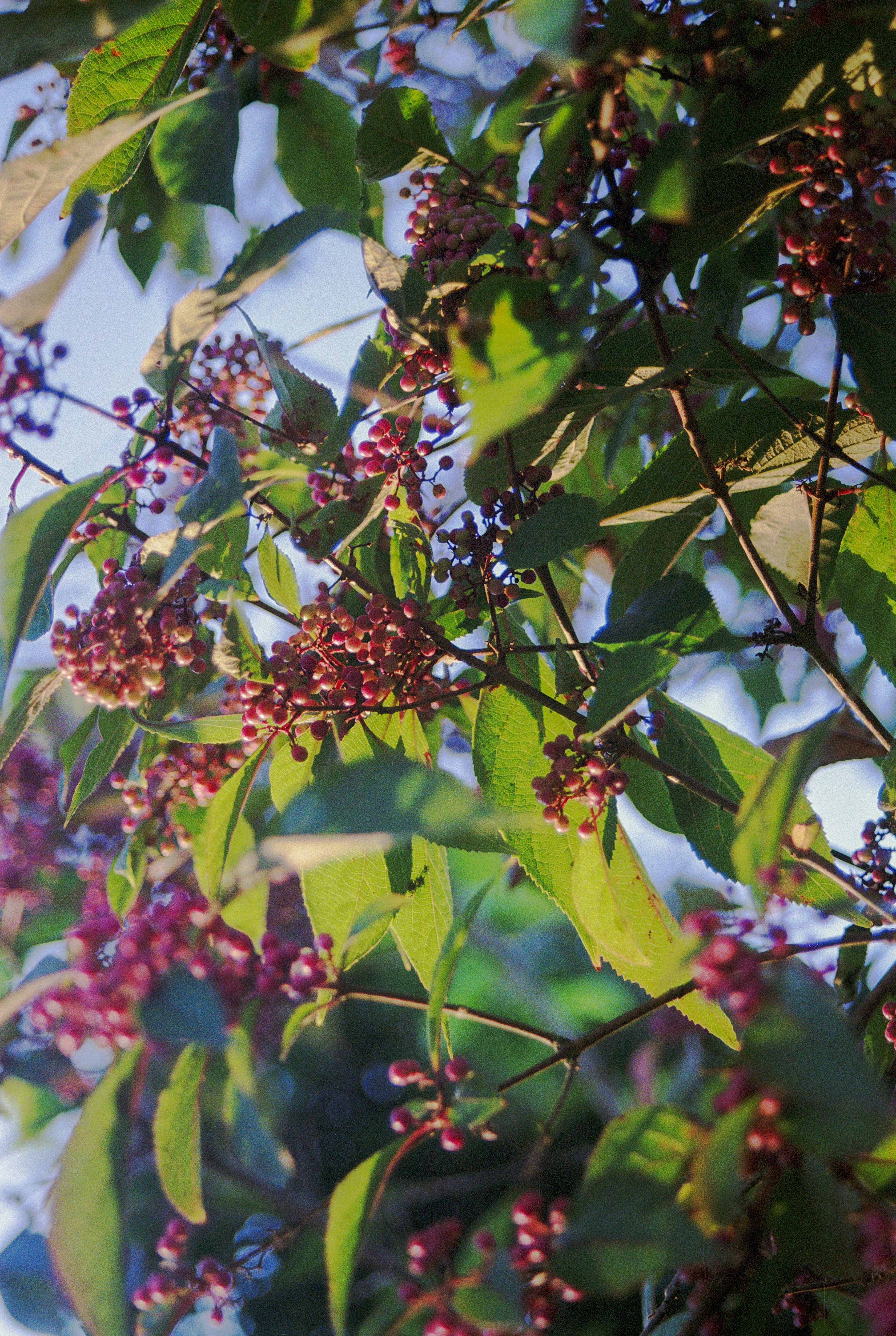 Photo by artistseyes