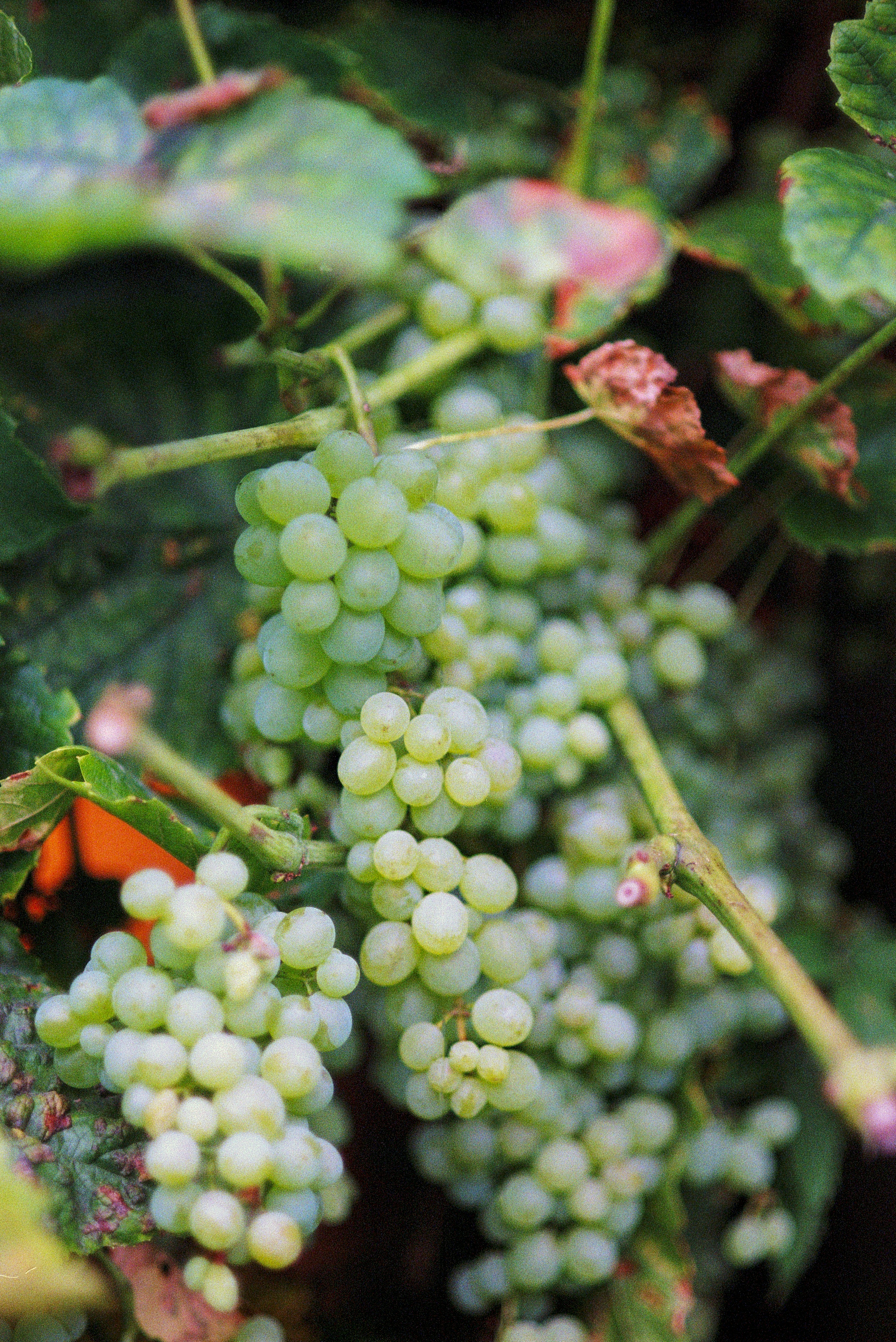 Photo by artistseyes