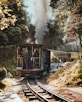 a train traveling through a forest filled with trees
