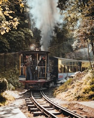 a train traveling through a forest filled with trees