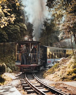 a train traveling through a forest filled with trees