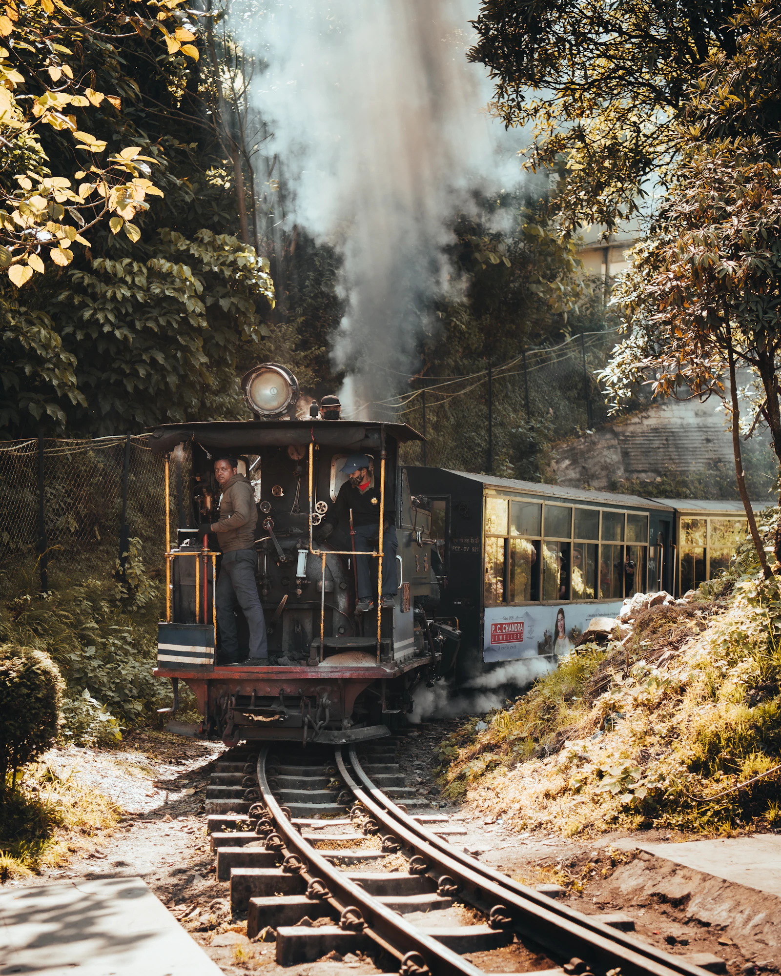 A Darjeeling Himalayan Railway steam engine hauling blue coaches through trees, smoke rising