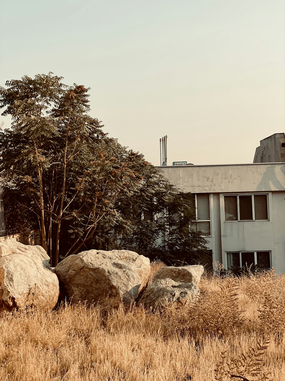 a large rock sitting in front of a building