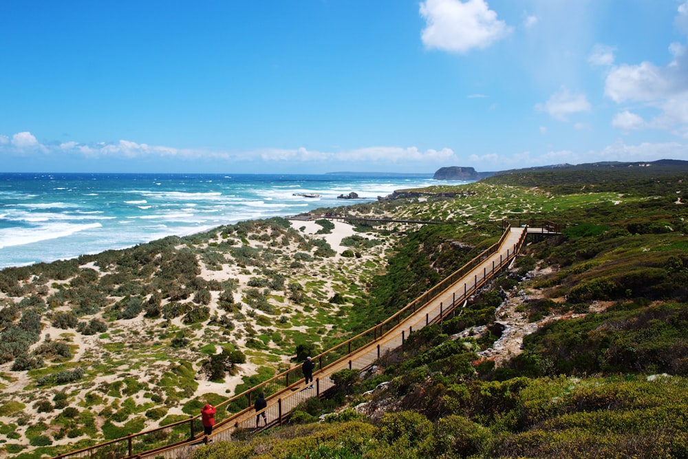 a view of the ocean from a high point of view