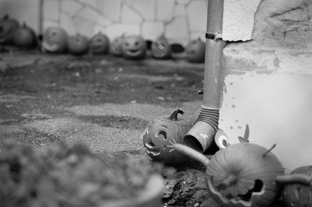 a black and white photo of a flower and a wall