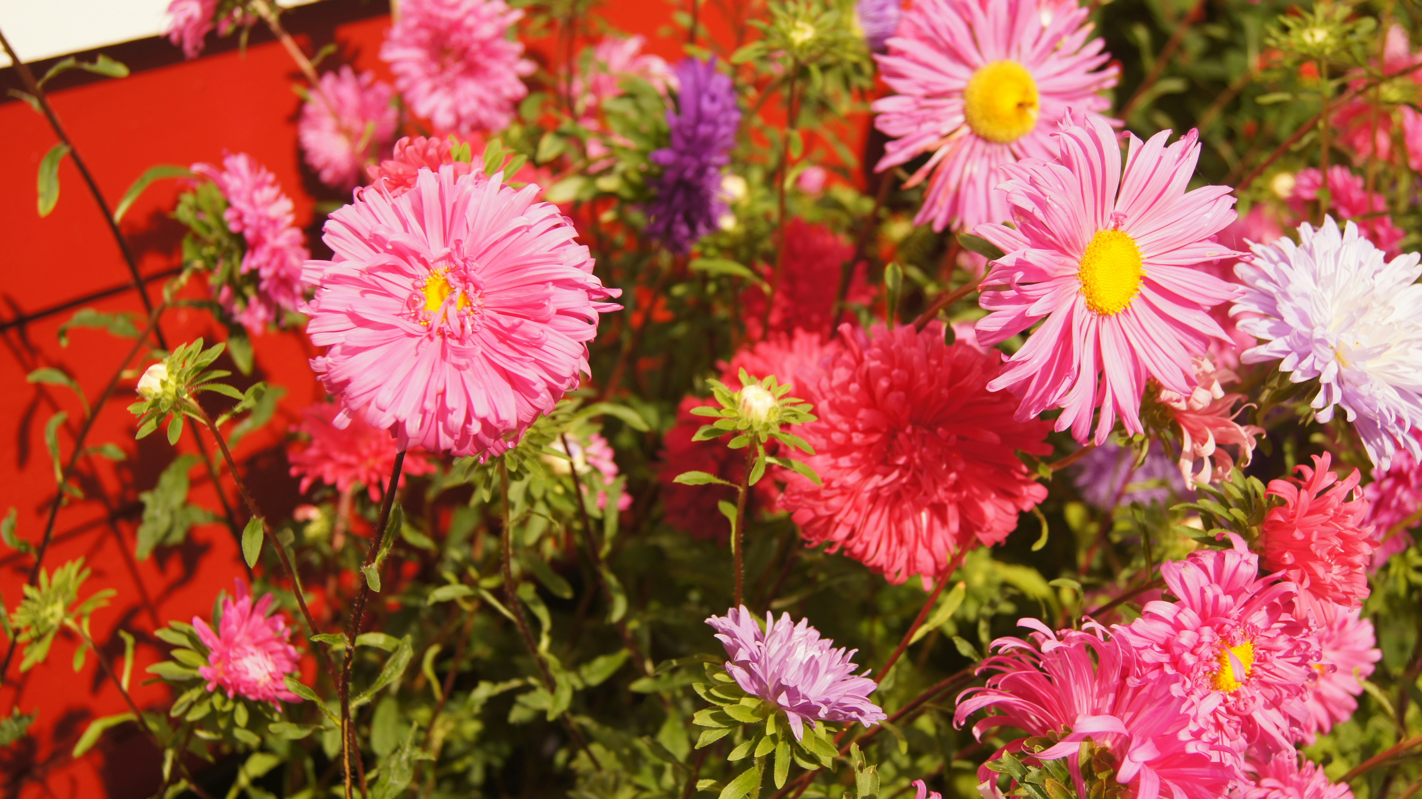 Photo by prophet2018