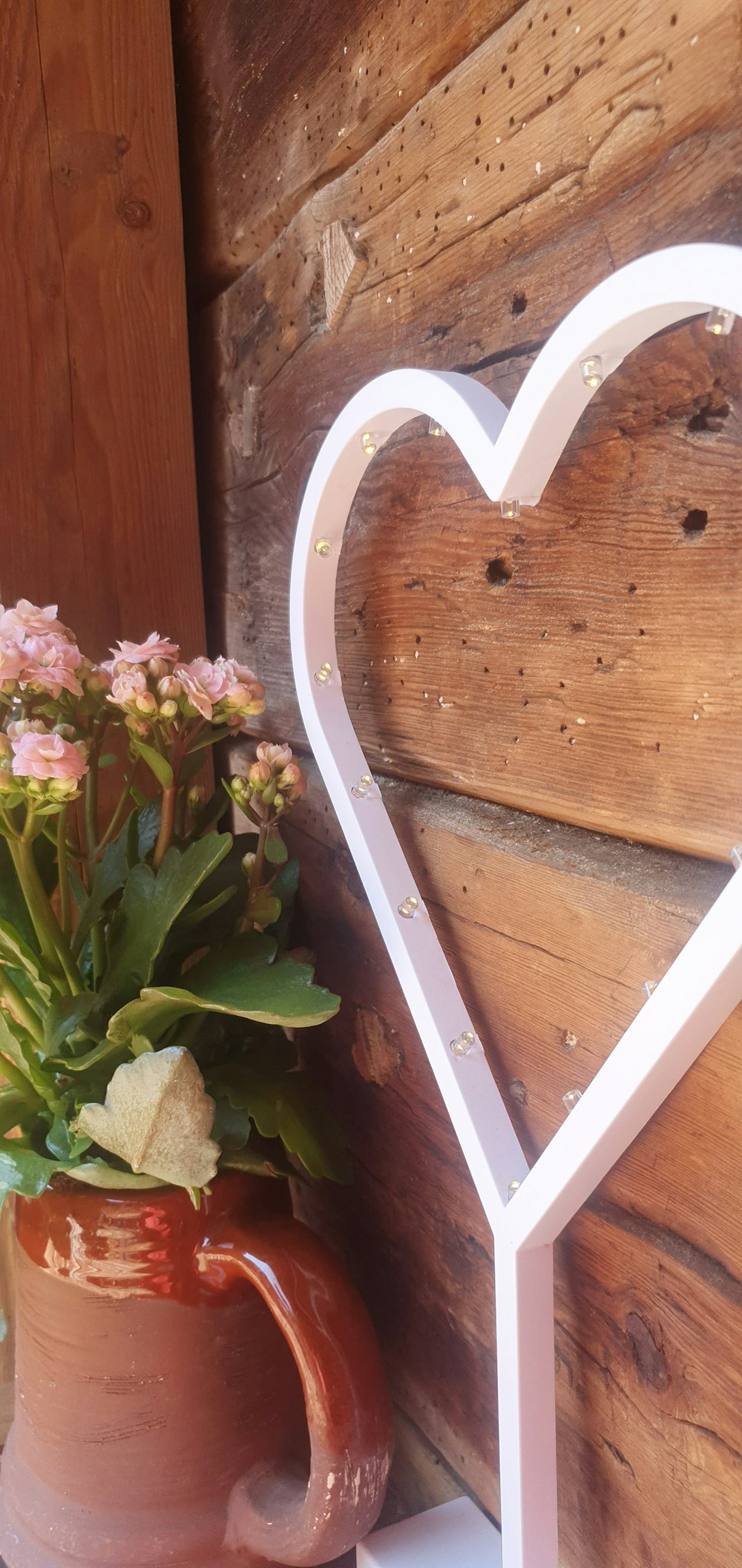 una planta en maceta sentada junto a un letrero en forma de corazón