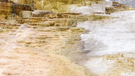 Detailed layers of mineral deposits create a terraced landscape with a mix of earthy and white tones. Each level is distinct, showcasing a variation in texture and color, possibly indicating mineral flow or sedimentation over time.