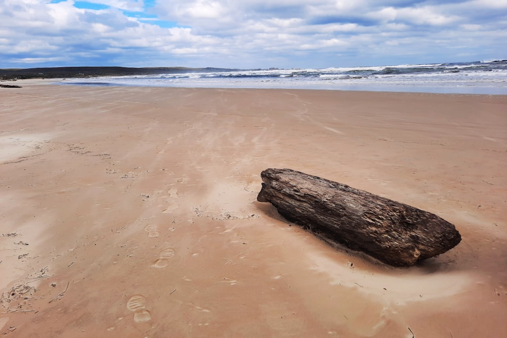 a large log laying on top of a sandy beach