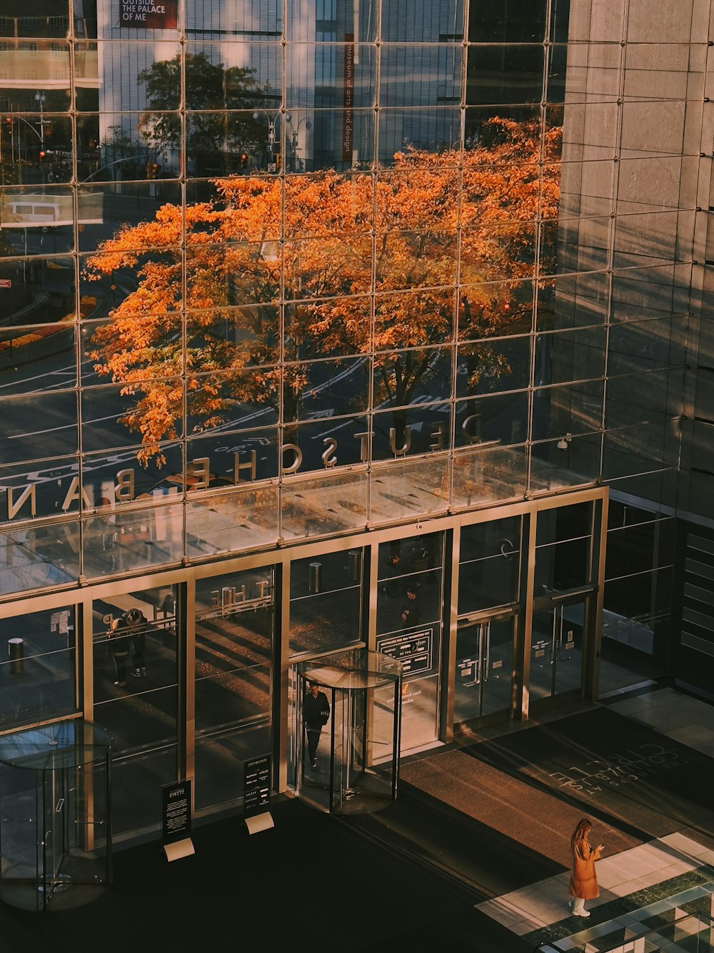 an orange tree in front of a glass building