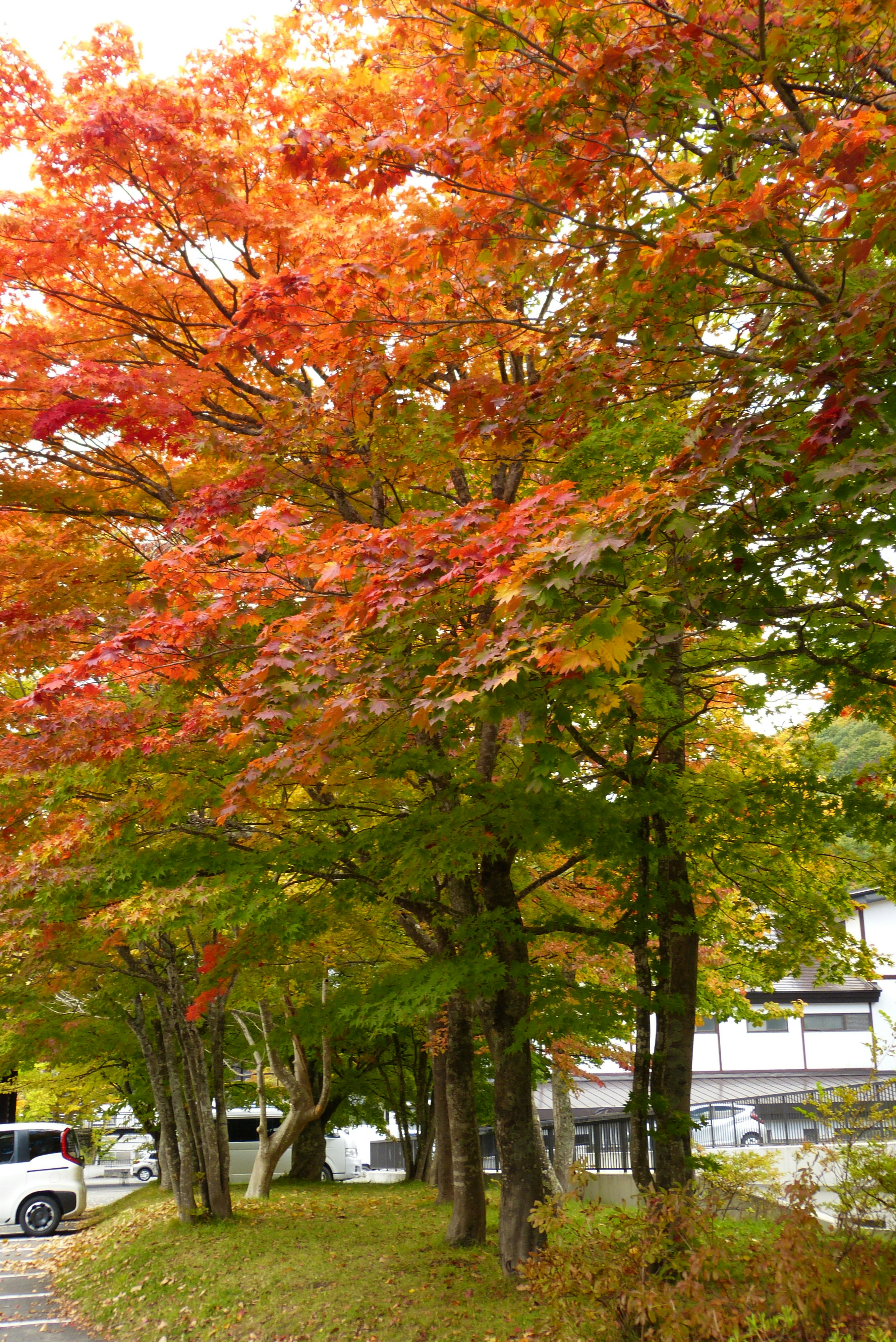 Photo by infinitytony