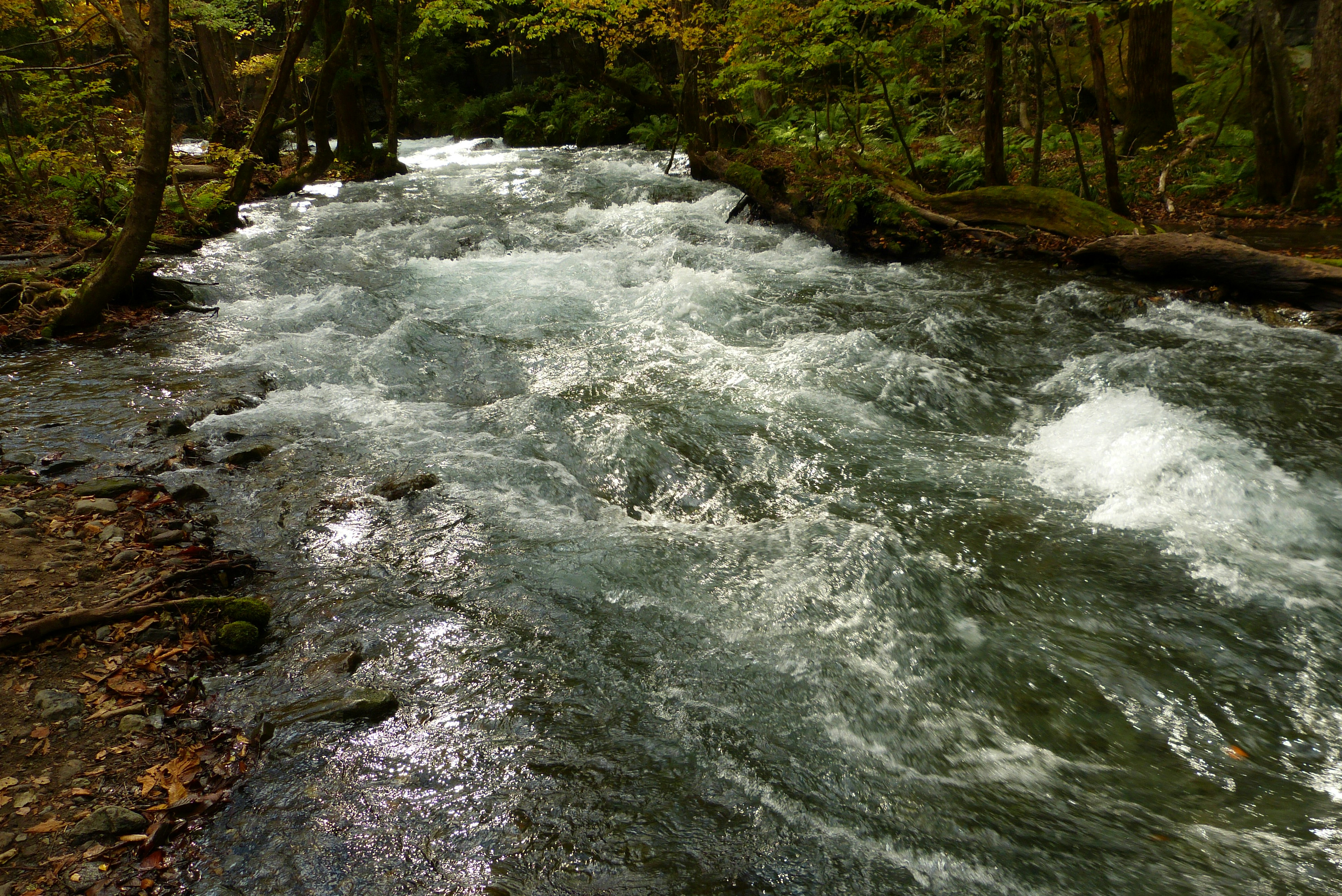 Photo by infinitytony