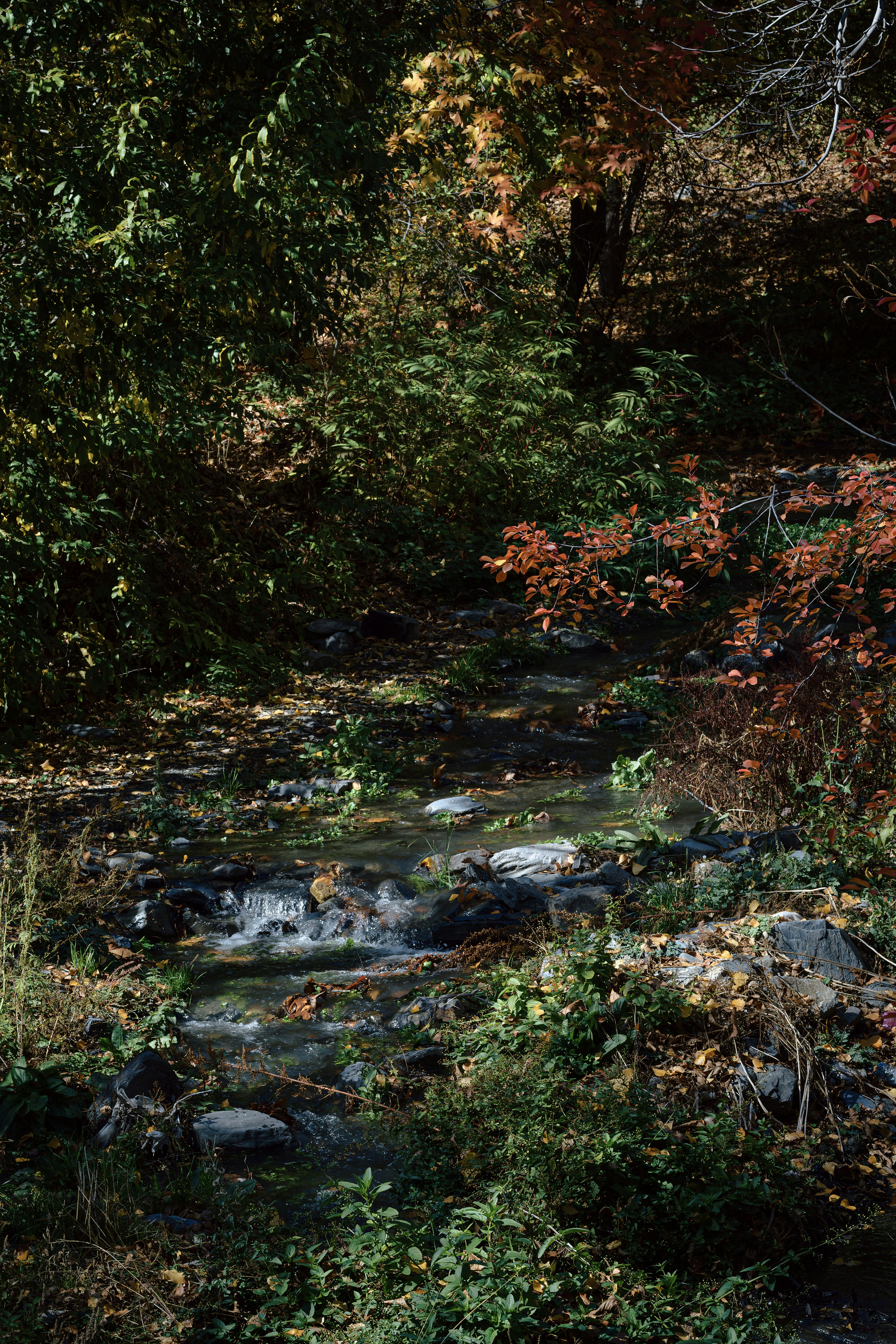 Photo by s_ahmadreza_p