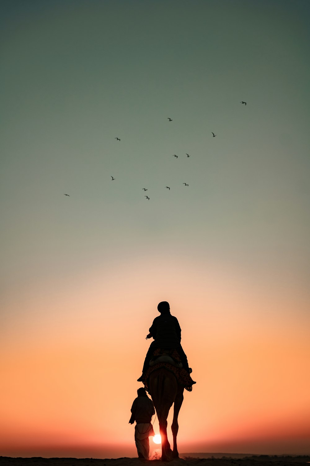 a person riding a horse at sunset with birds in the sky