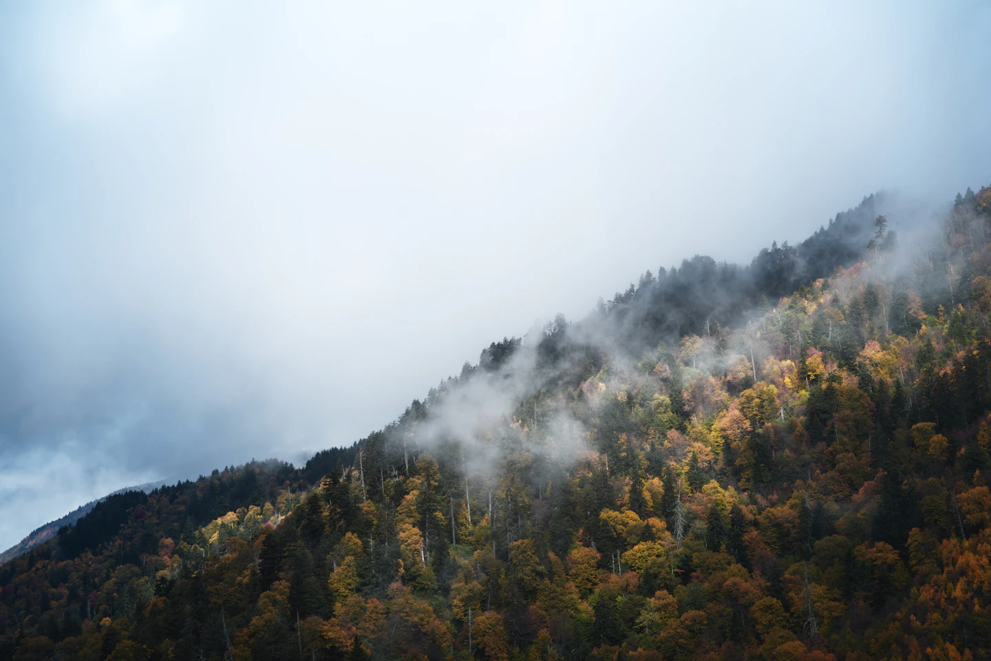 Fog filling the valleys of the Great Smoky Mountains at sunrise in autumn.