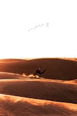 A person rides a camel across expansive sand dunes at sunset, creating a dynamic scene with footprints and sand being kicked up. Birds are flying in formation overhead, enhancing the tranquil and majestic setting.