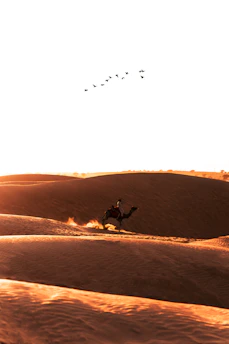 A traveler riding a camel across the vast Sahara Desert at sunset.