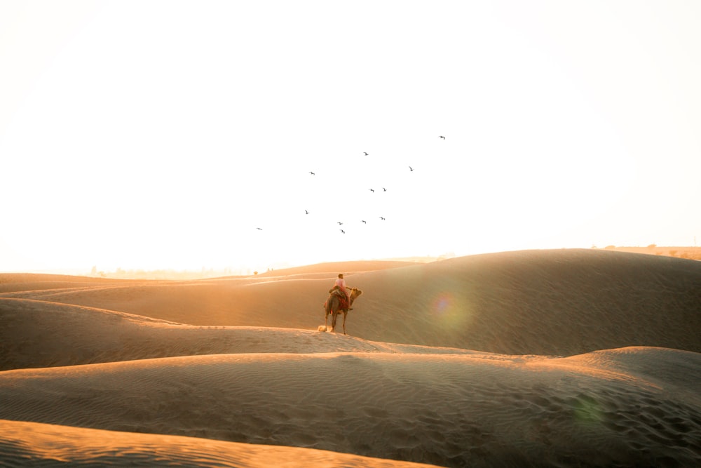 a person standing in the middle of a desert