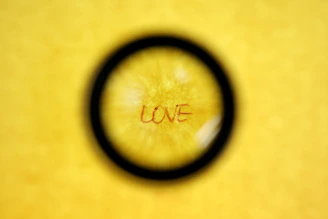 Illustration of a magnifying glass zooming in on business profiles symbolizing targeted leads.