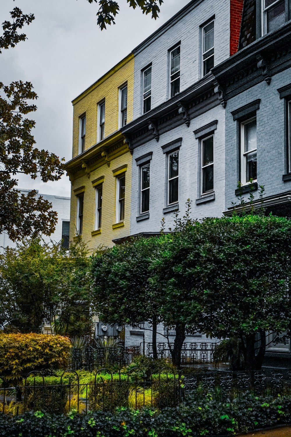 a row of multi - colored houses in a neighborhood