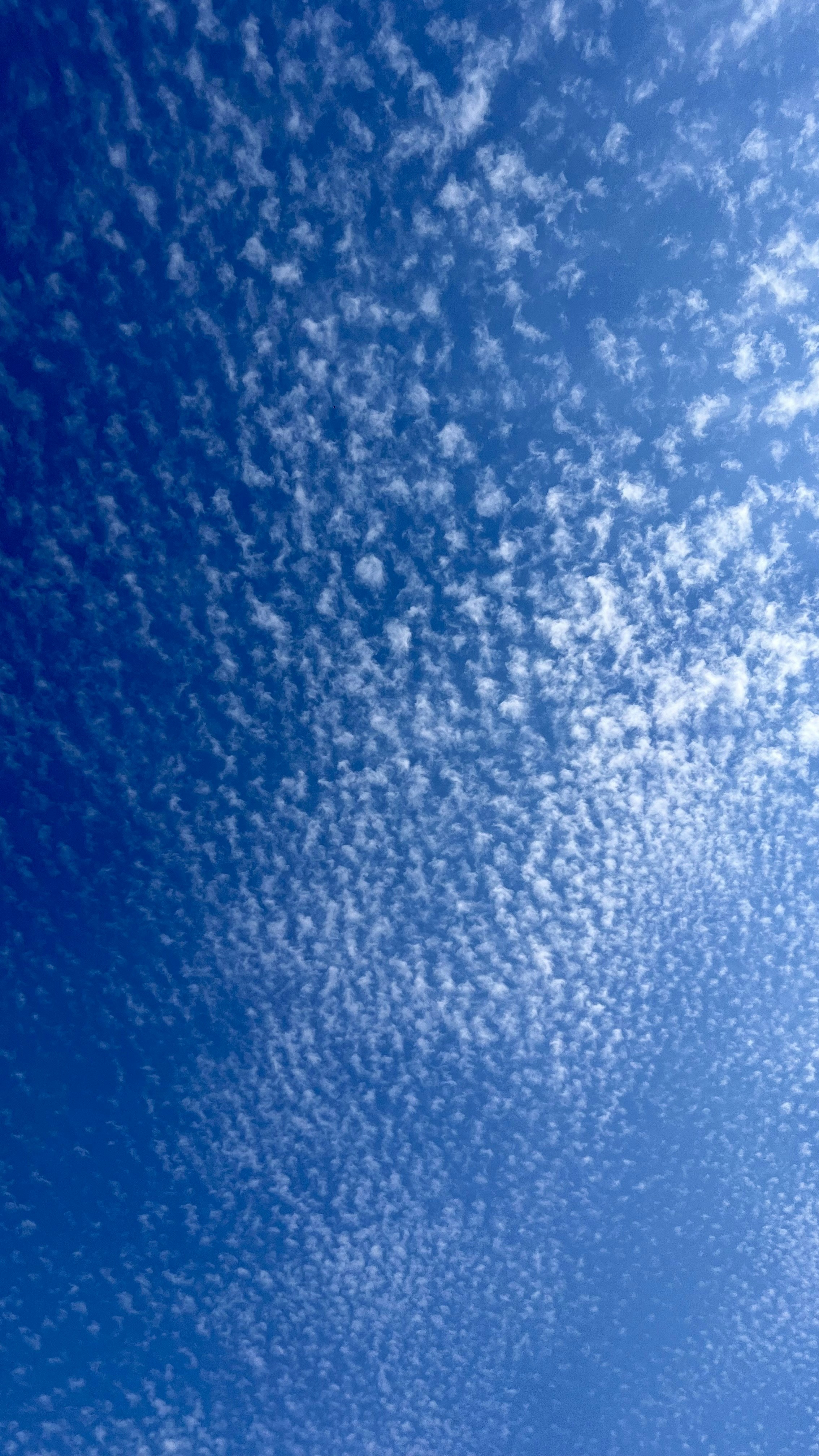 Photo by kourosh2500