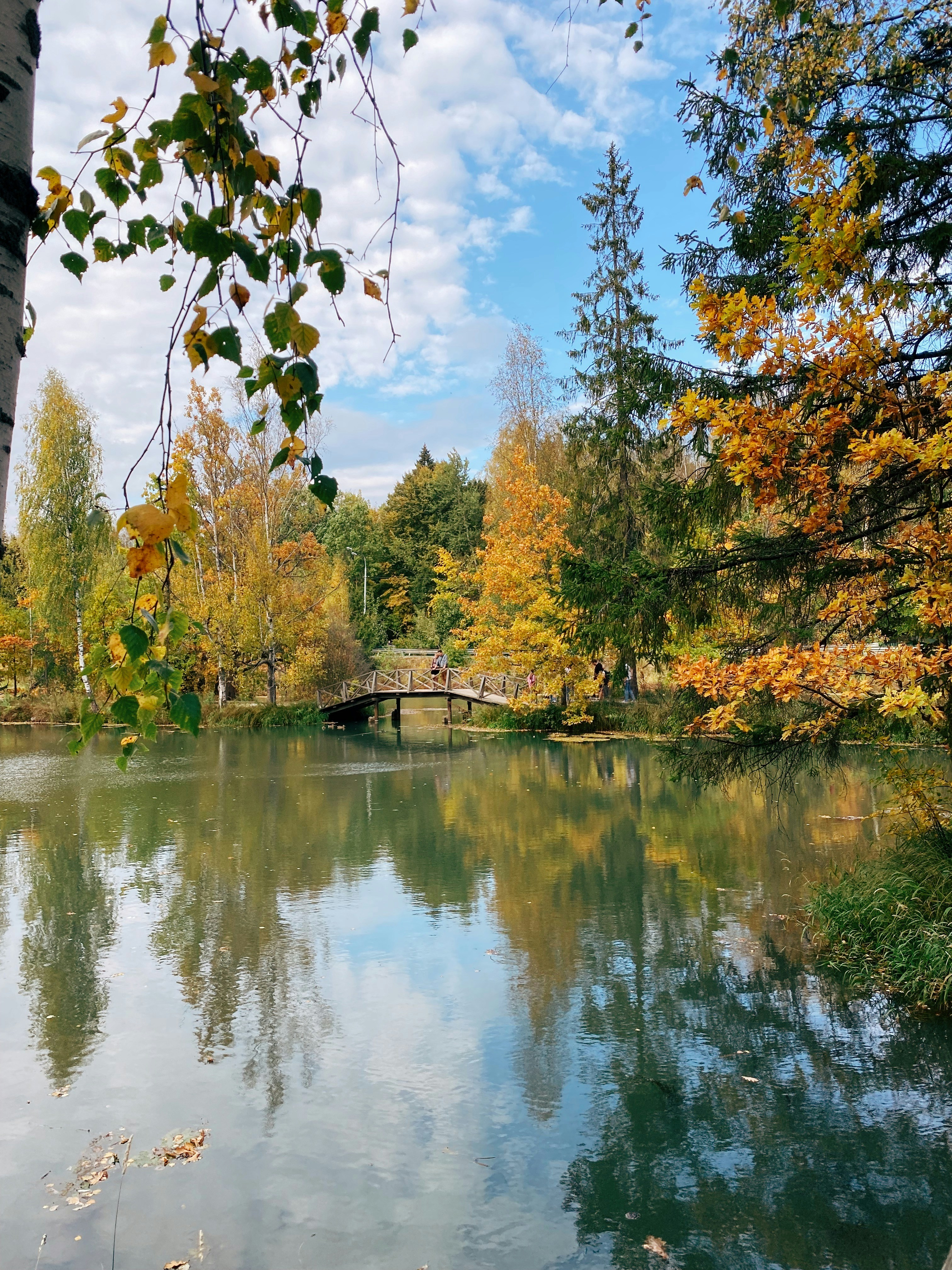 Photo by vvinogradova