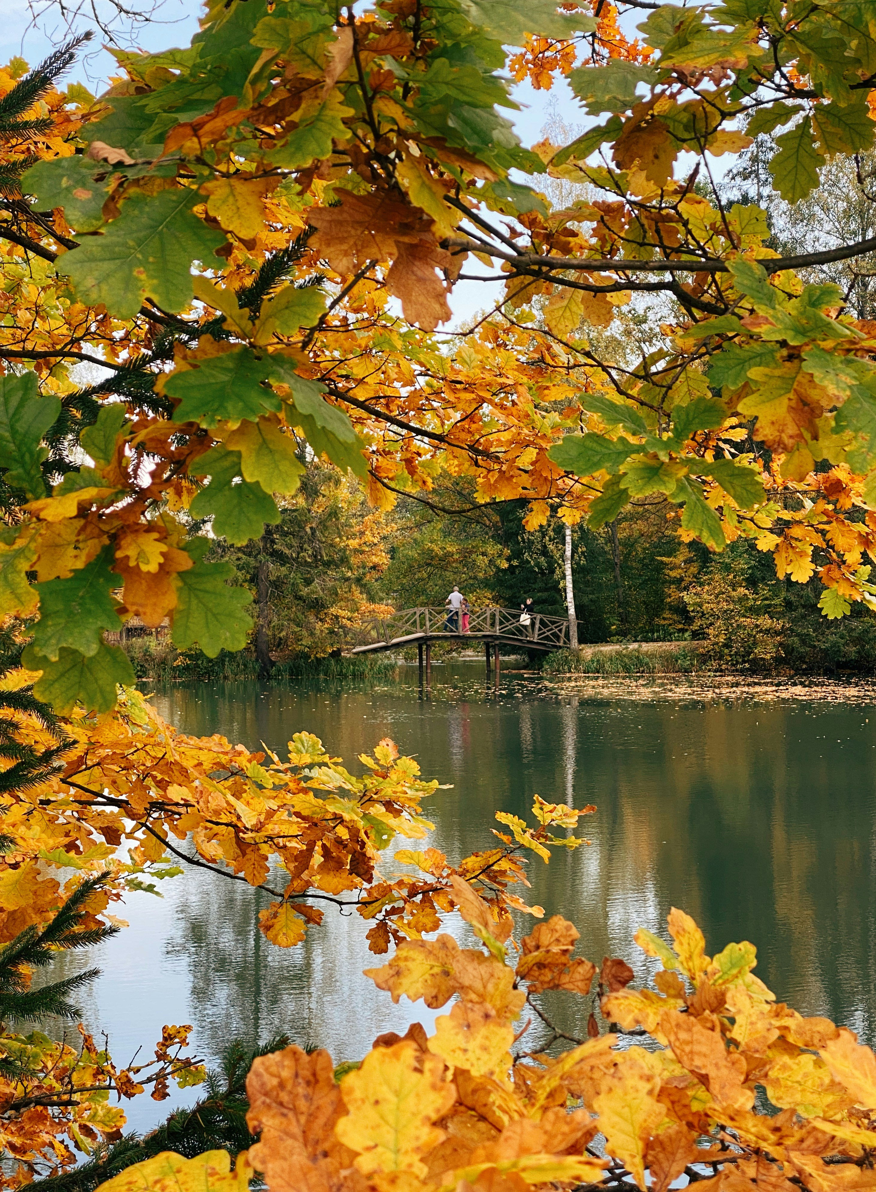 Photo by vvinogradova