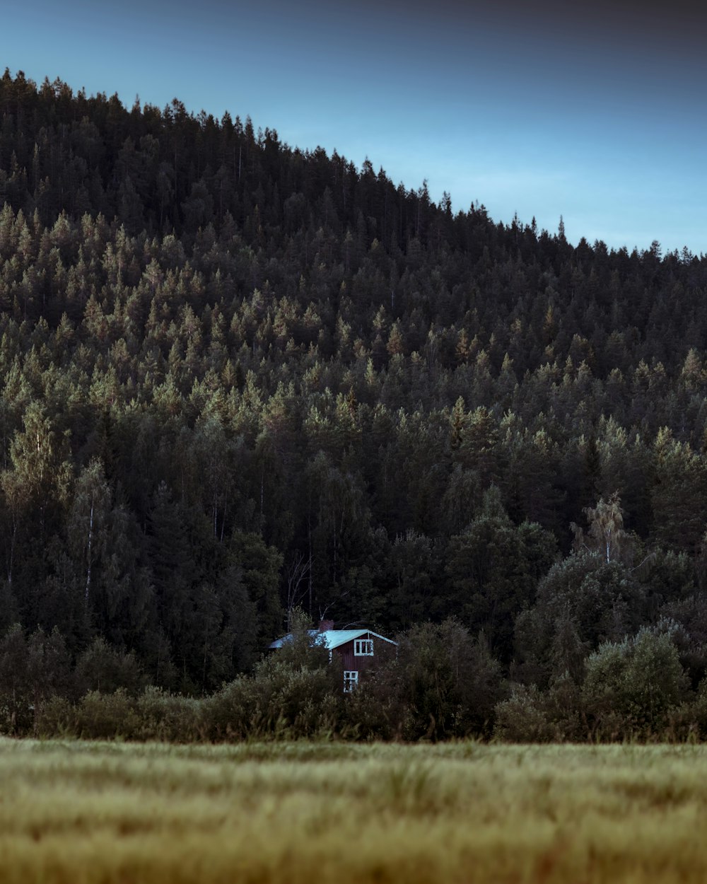 a house in the middle of a field with trees in the background