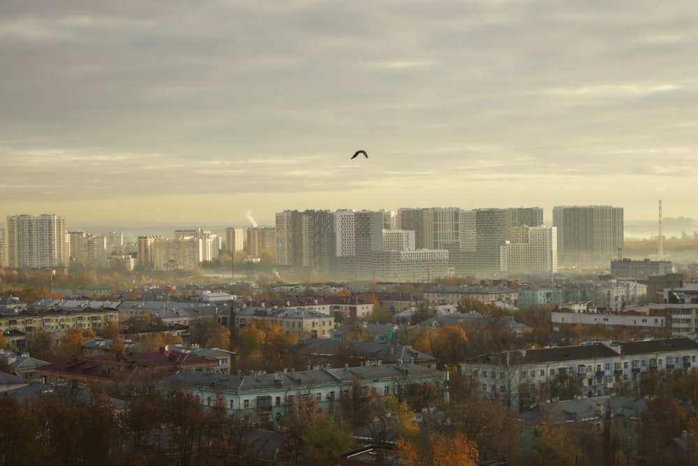 a bird flying over a city with tall buildings