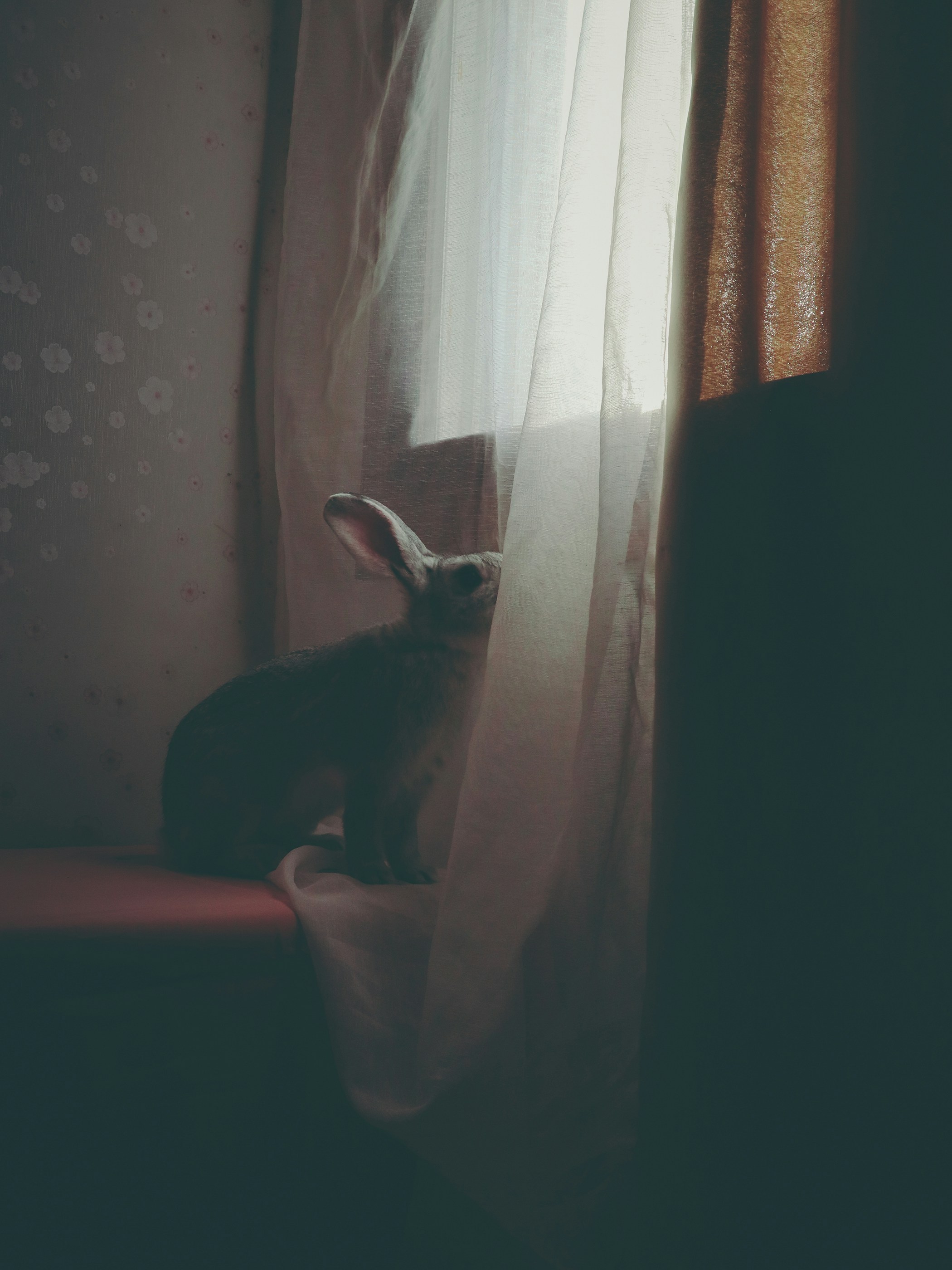 Photo by babybluecat