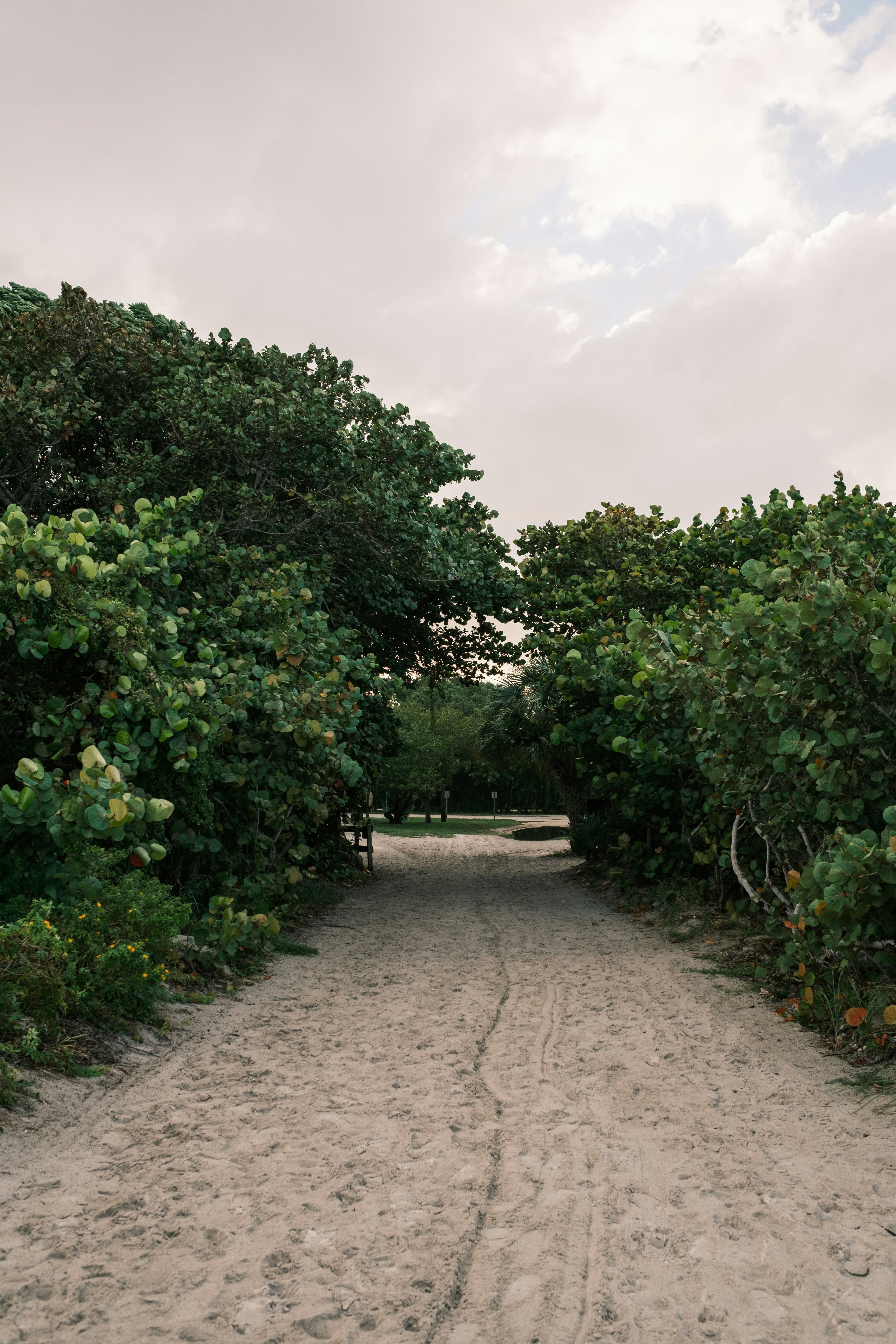 Photo by lifeofdaniel