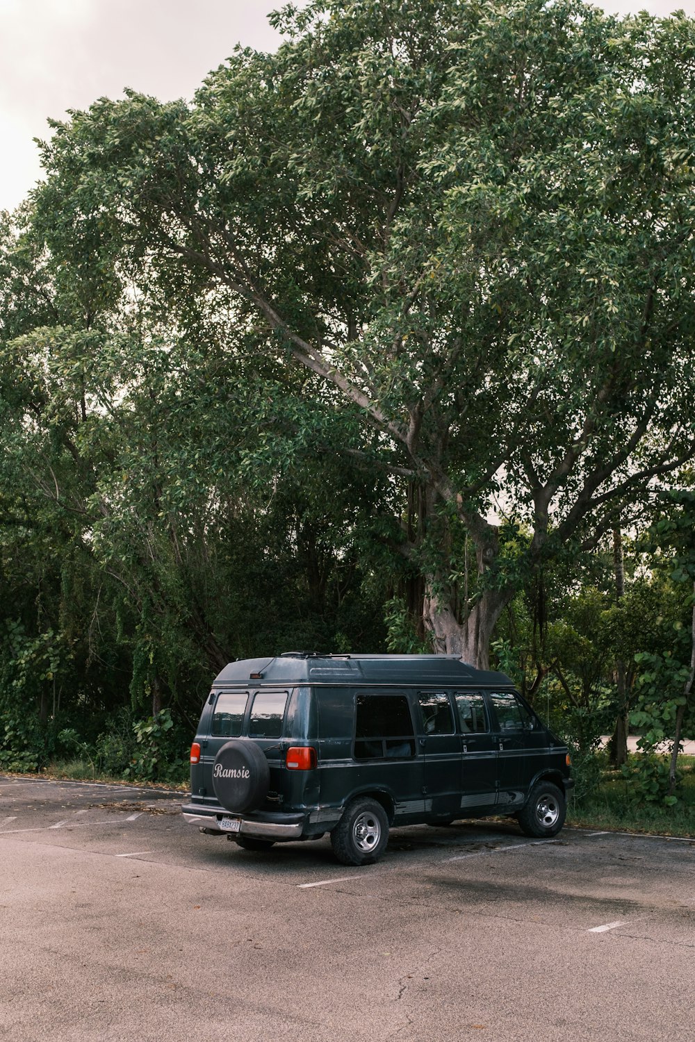 a van parked in a parking lot next to a tree
