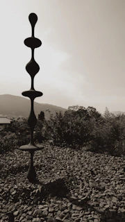 A striking abstract stone figure standing tall against a warm, earthy backdrop.