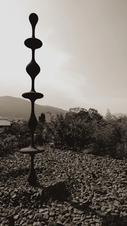 A striking abstract stone figure standing tall against a warm, earthy backdrop.