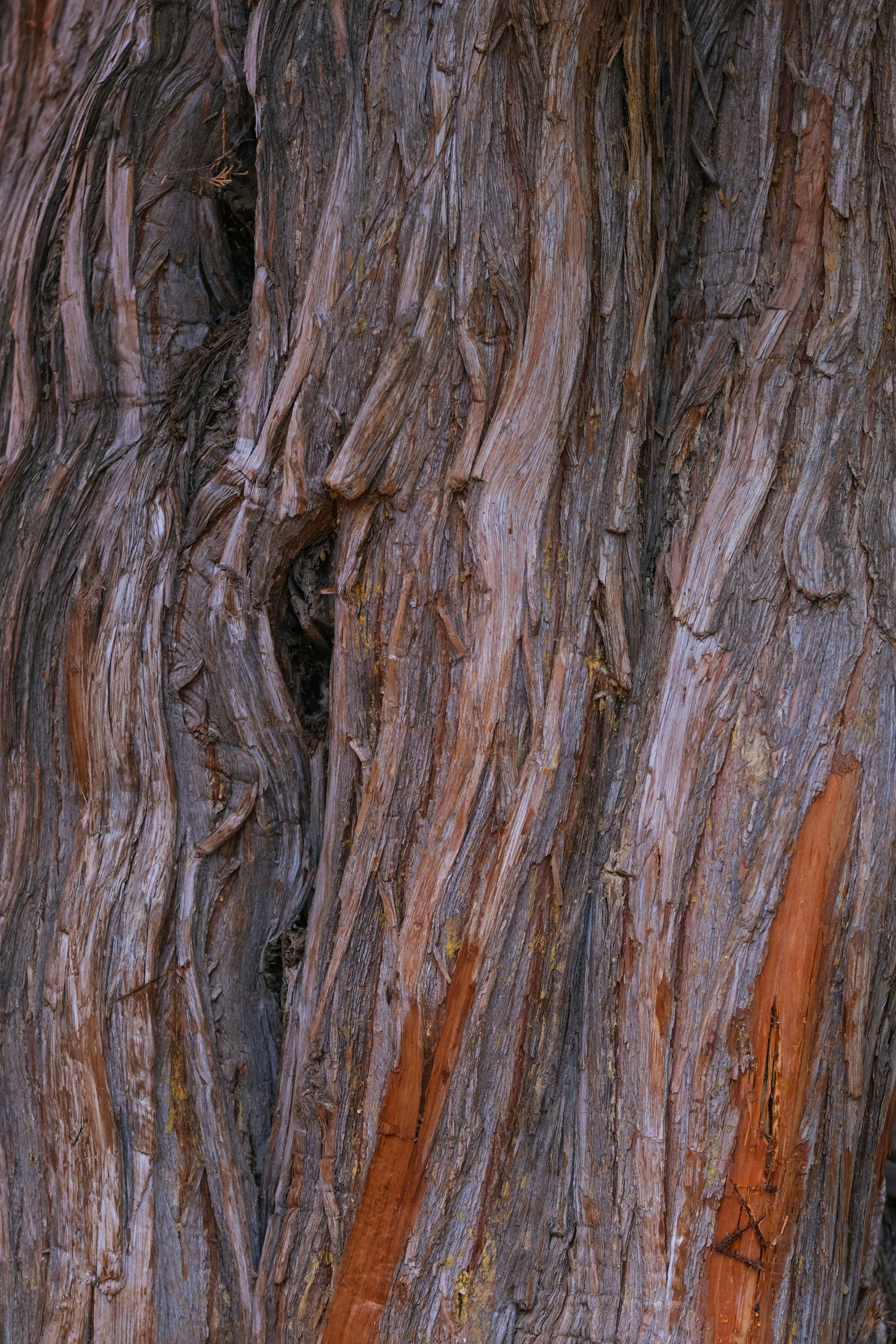 Photo by cestmoisheedy