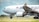 A cargo airplane with 'MALAYSIA' and 'masked off text'-branded livery is taxiing on a runway. The aircraft is predominantly white with red, blue, and gray detailing. The Malaysian flag is visible on the fuselage. The runway area features grass and flowers, and the sky is partly cloudy.