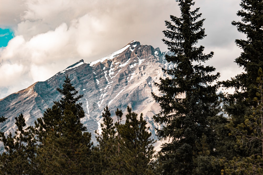 a snow covered mountain surrounded by trees under a cloudy sky