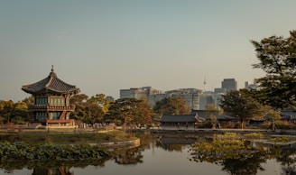 a pond in a park with buildings in the background