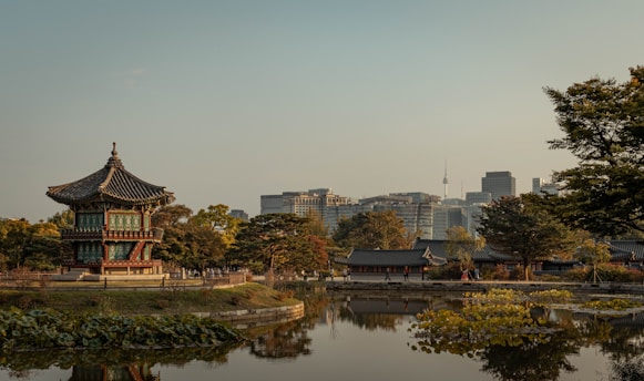 a pond in a park with buildings in the background