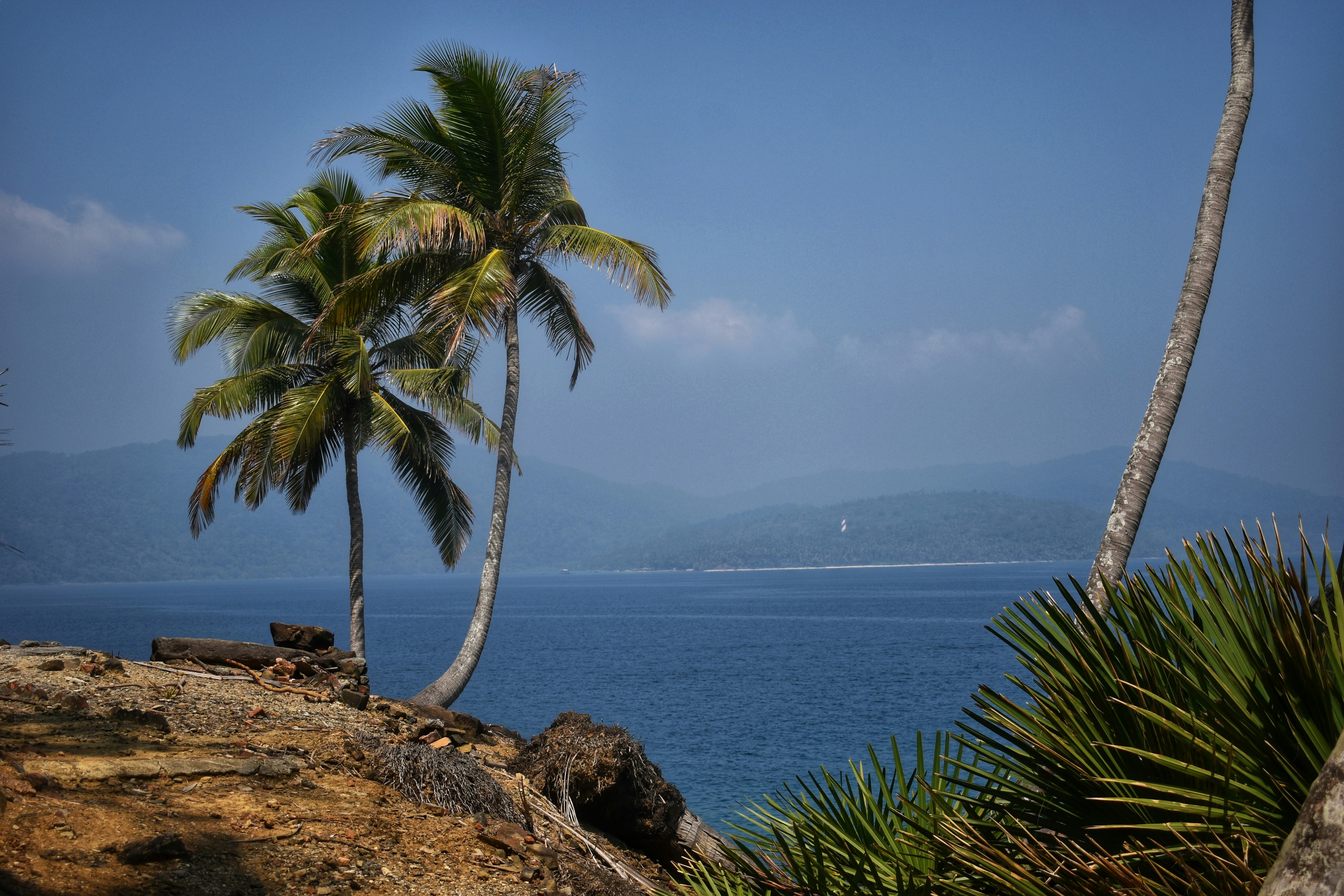 Photo by vivekar10