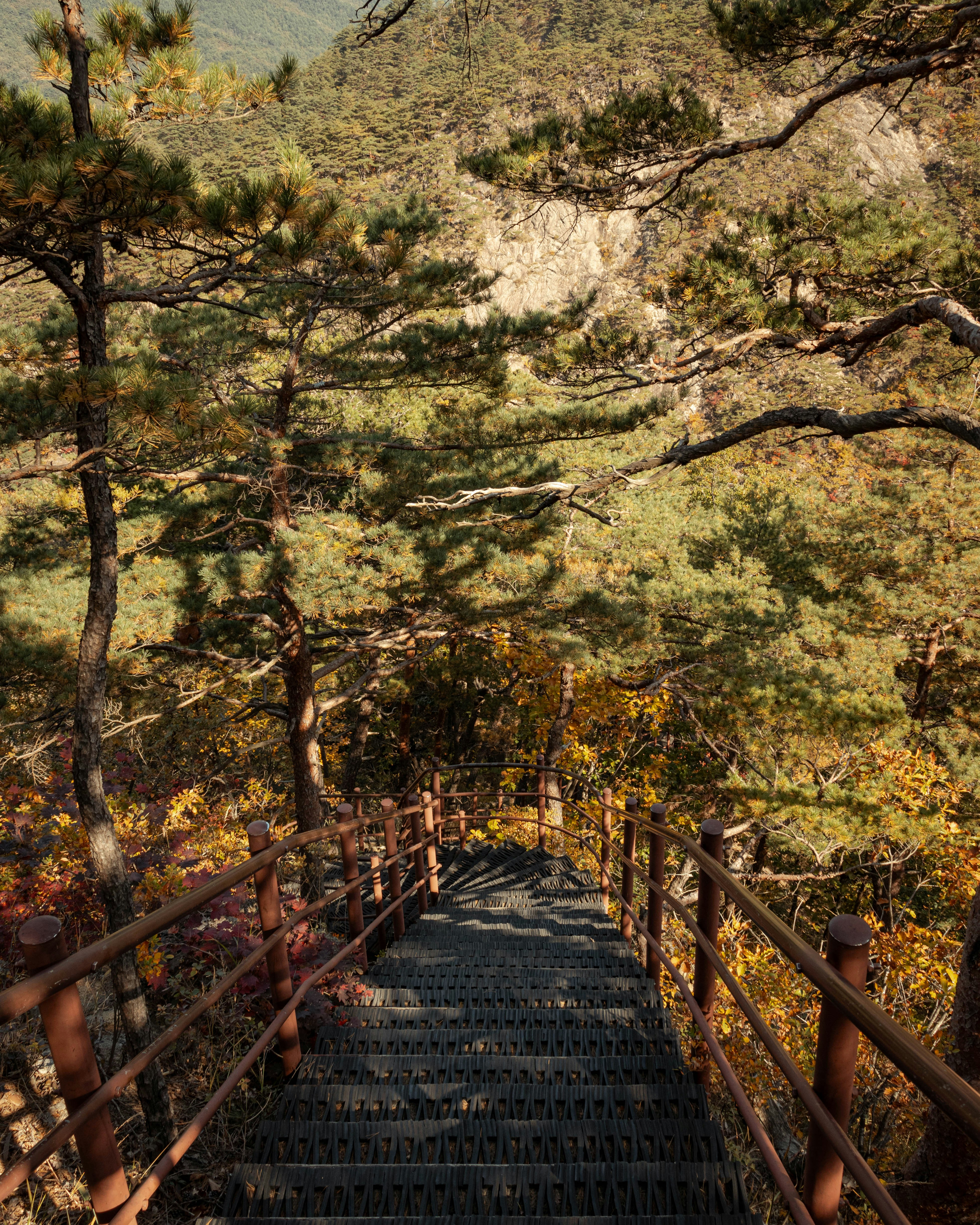 a set of stairs leading up to the top of a mountain