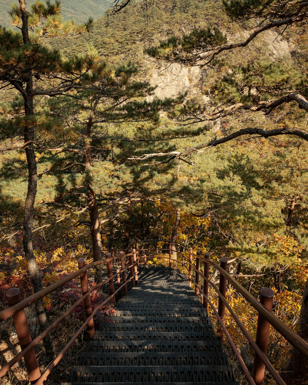 산 정상으로 올라가는 계단