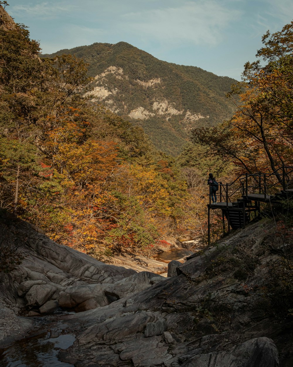 a person standing on a bridge over a stream